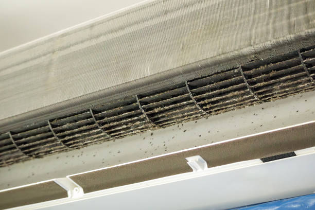 Best Ductwork Cleaning Services  in Galena Park, TX